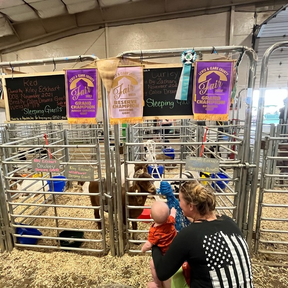 Meet your Posher, Amanda - Picture 1 of 1